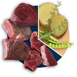 Polaris Adult Beef&Turkey - Сухий корм для собак