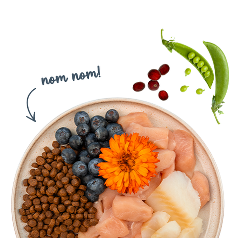 Санабель Едалт Форель із чорницями -> дивитися велике фото Sanabelle Adult with trout & blueberries - Сухий корм для кішок