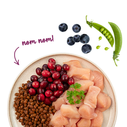 Санабель Сеніор Курка із журавлиною -> відкрити велике зображення Sanabelle Senior chicken & cranberries - Сухий корм для кішок