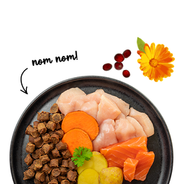Sanabelle Juicy Salmon - Сухий корм для кішок
