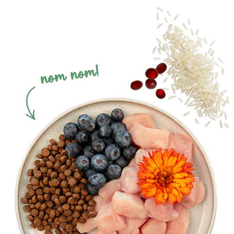 Санабель Сенситив Курка із чорницями -> дивитися велике фото Sanabelle Sensitive chicken & blueberries - Сухий корм для кішок