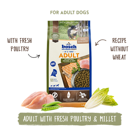 Bosch Adult with poultry & millet - Сухой корм для собак
